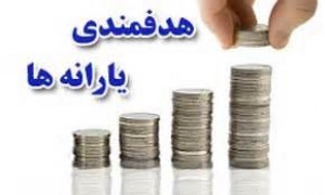 مردم چگونه درآمدشان را به دولت اعلام کنند