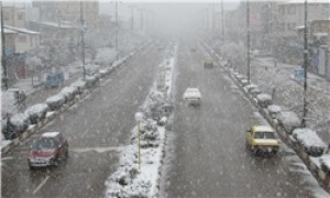 برف و بوران اردبیل را فرا گرفت