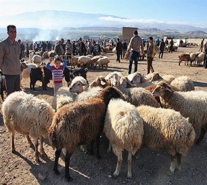 مرگ، سوغات قاچاق دام از آن سوی مرزها به کشور