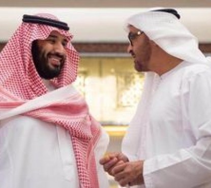 شریک محمد بن سلمان در محیط زیست ایران چه می‌کند؟